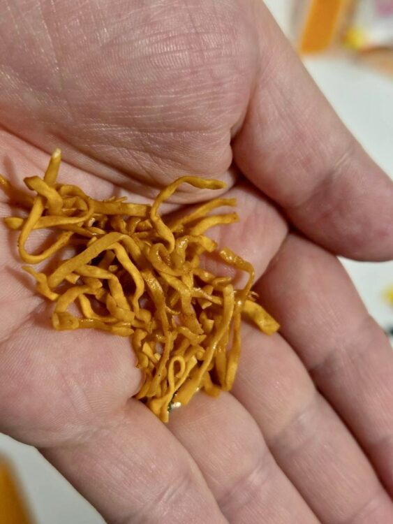 チキンラーメンファクトリーで、パッケージに入らず試食用になった揚げたてのチキンラーメンの麺